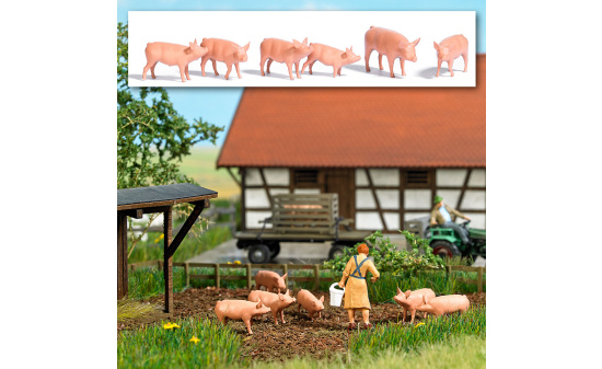 Busch 1172 Sechs Schweine 1:87